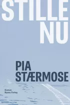 Product cover for Stille nu