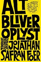 Product cover for Alt bliver oplyst