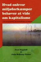 Product cover for Hvad enhver miljøforkæmper behøver at vide om kapitalisme