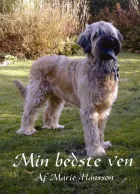 Product cover for Min bedste ven