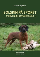 Product cover for Solskin på sporet