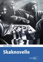 Product cover for Skaknovelle