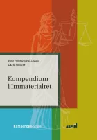 Product cover for Kompendium i Immaterialret