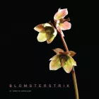 Product cover for Blomsterstrik