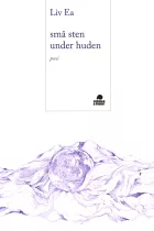 Product cover for små sten under huden