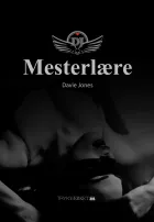 Product cover for Mesterlære