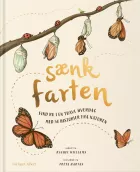 Product cover for Sænk farten