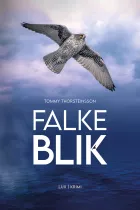 Product cover for Falkeblik