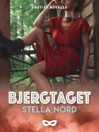 Product cover for Bjergtaget