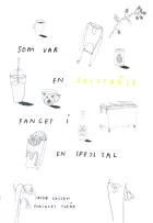 Product cover for Som var en solstråle fanget i en spejlsal