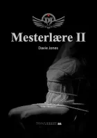 Product cover for Mesterlære II