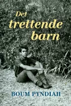 Product cover for Det trettende barn
