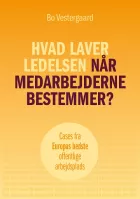 Product cover for Hvad laver ledelsen når medarbejderne bestemmer?