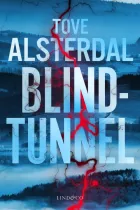 Product cover for Blindtunnel